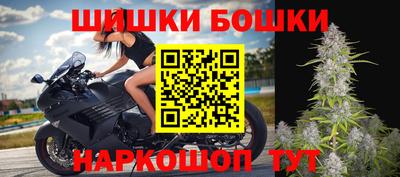 индика Ирбит