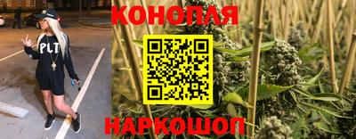 индика Ирбит