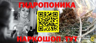индика Ирбит